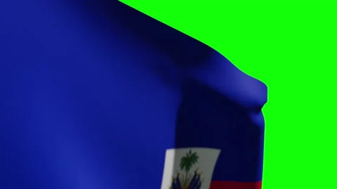 Haiti Flag Close Stock Footage 132842131