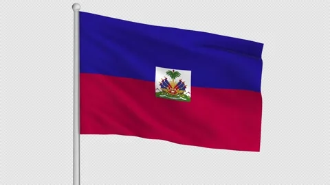 Haiti Flag Stock-Footage 219544739