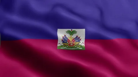 Haiti flag Front Stock Footage 318665690