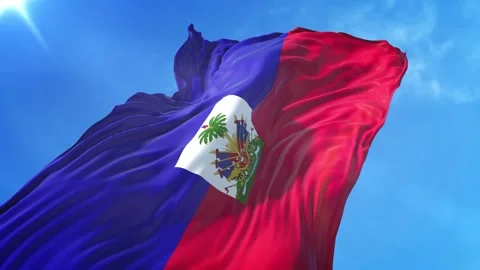 Haiti Flag Low Angle View Stock Footage 295691680
