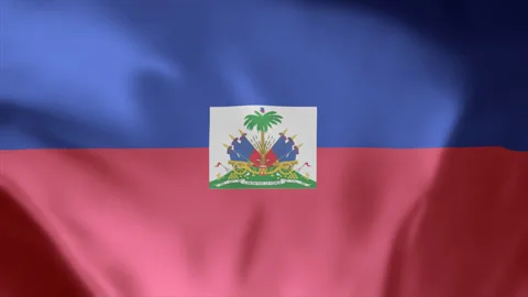 Haiti Flag Seamless Loop Animation Footage 4k Stock-Footage 253282398