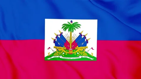 Haiti flag slow motion animation with fabric texture Stock Footage 330787248