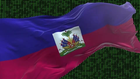Haiti flag - Waving flag on matrix binary code background Stock Footage 321421234