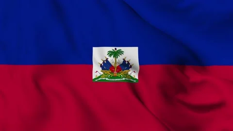 Haiti flag is waving inthe wind 3D animation. flag seamless loop animation. Stock Footage 131290176