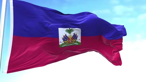 Haiti Horizontal Flag in the Sky Speed Waving Stock Footage 324185816