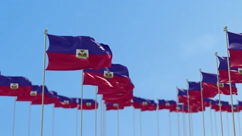 Haiti Row Of Flags 3D Animation Video stock 148696972