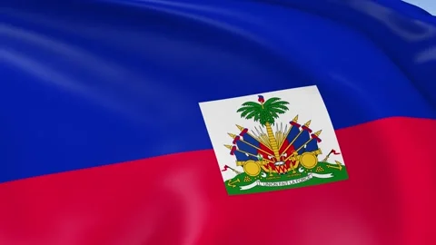 Haiti Waving Flag Background Loop Stock-Footage 317844122