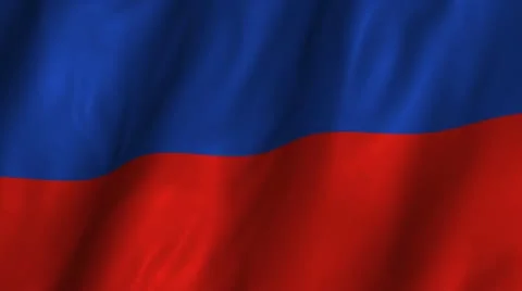 Haiti Waving Flag Stock Footage 12279208