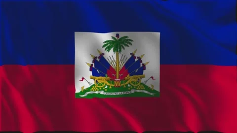 Haitian flag waving slowly Stock-Footage 336631506