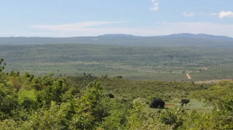 Haiti's Landscape Video stock 51220092