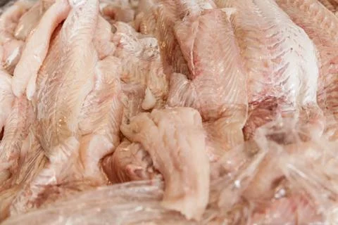 Hake fillet Фото