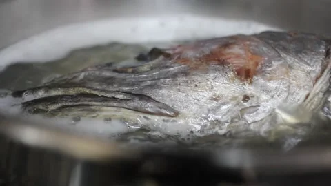 Hake head boiling in a pot to prepare traditional fish stock Video stock 345749353