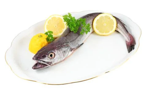Hake small Stock Photos