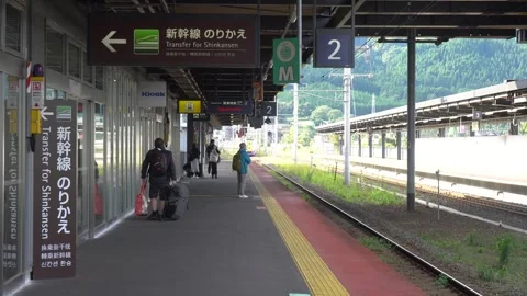 Hakodate Line Train Arriving at Shin-Hakodate Station in Japan Stock Footage 268841575