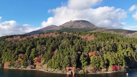 Hakone Mountains | Torii Gate | Autumn Nature - 4K Aerial Video Stock Footage 329054837