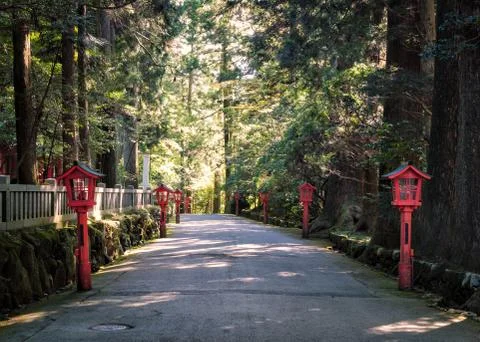 Hakone shrine Stock Photos