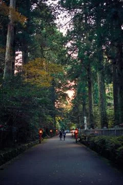 Hakone Shrine Stock Photos