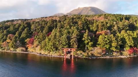 Hakone Shrine | Torii Gate | Lake Ashi | Autumn - 4K Aerial Video Stock Footage 329054793