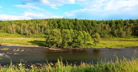 Halaha river 库存影片 213435690
