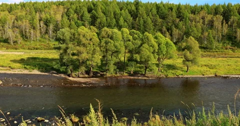 Halaha river Stock-Footage 213437290