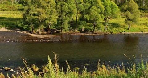 Halaha river 库存影片 213437710