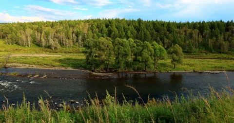 Halaha river Stock Footage 213439048