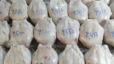 Halal Chicken in market Stock Footage 165457487