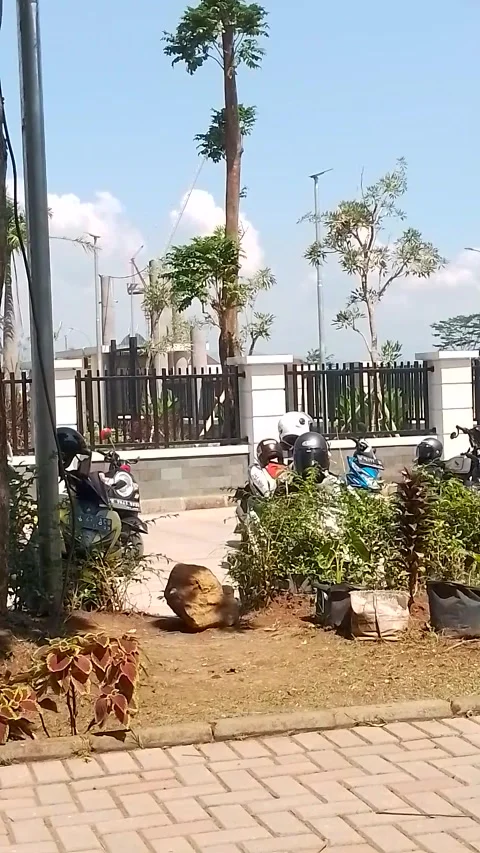 Halaman Kampus Video stock 243904114