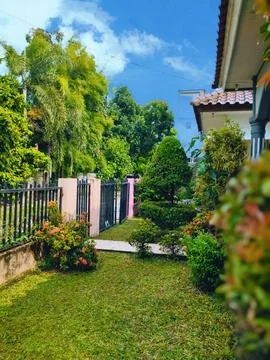 Halaman rumah 库存照片