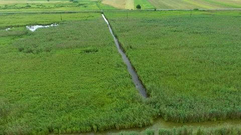Halchiu Delta din Carpati Stock Footage 152662790