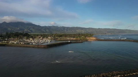 Haleiwa Harbor Video stock 157181816