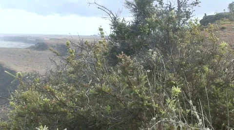Halema'uma'u Crater 2 Stock Footage 649901