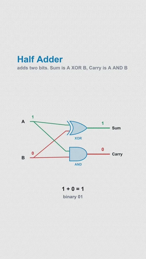 Half Adder Labeled Digital Logic Circuit Animation Alpha 4K Vertical 9x16 Light Stock-Footage 339529179