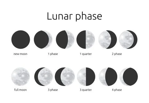 Half and circle moon phases. Astrology calendar of eclipse crescent. Full or Ilustração Stock