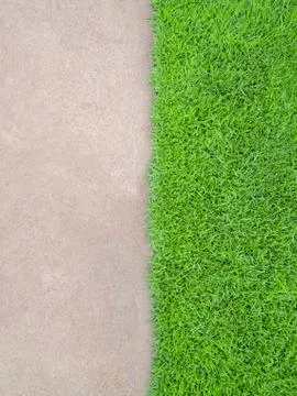 Half and Half Cement Floor and Meadow Stock Photos