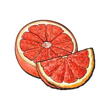 Half and quarter of ripe pink grapefruit, hand drawn illustration Stock Illustration