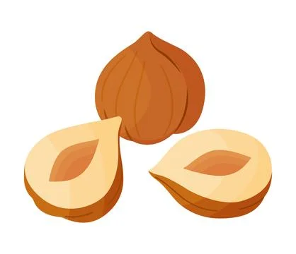 Half and whole hazelnuts, peeled nut cartoon trendy flat style isolated icon Stock Illustration