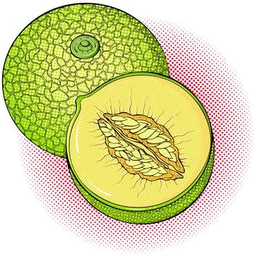 Half and whole melon Pop Art style sticker Stock Illustration