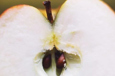 Half apple close up. cut apple background 스톡 사진