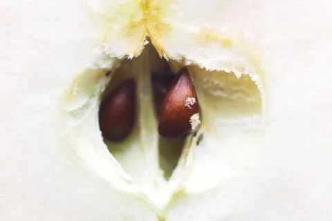 Half apple close up. cut apple background Foto stock