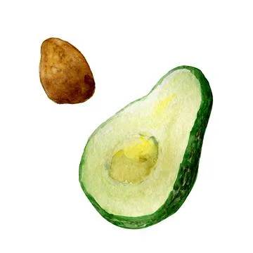 Half an avocado and its seed Stock Illustration