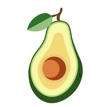Half an avocado with a bone on a twig Stock Illustration