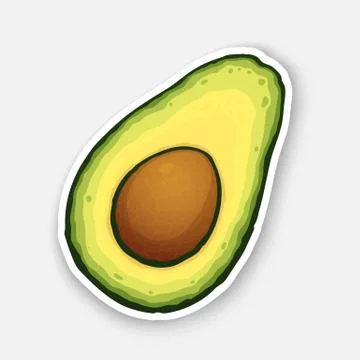 Half avocado fruit with seed inside. Stock Illustration