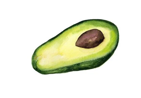 Half of avocado Stock Illustration