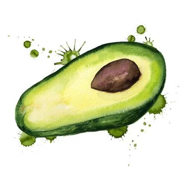 Half of avocado with paint blots Stock Illustration