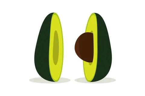 Half an avocado with a pit. Vector illustration. Stock Illustration