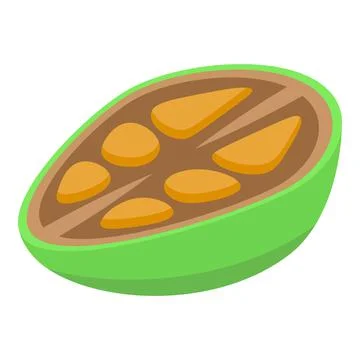 Half baobab fruit icon isometric vector. African tree Stock Illustration