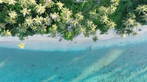 HALF BEACH AND SEA Stock Footage 276559889