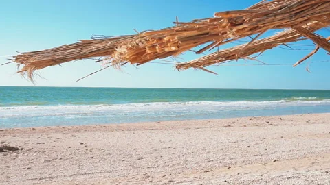 Half of beach umbrella made of cane at the background of blue cloudless sky. Stock Footage 91280077