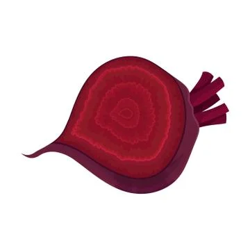 Half Beet-Root With Red Pith Vector Illustration Stock Illustration